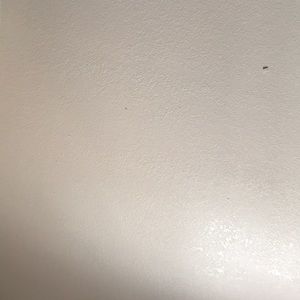 Meet your Posher, Joshua